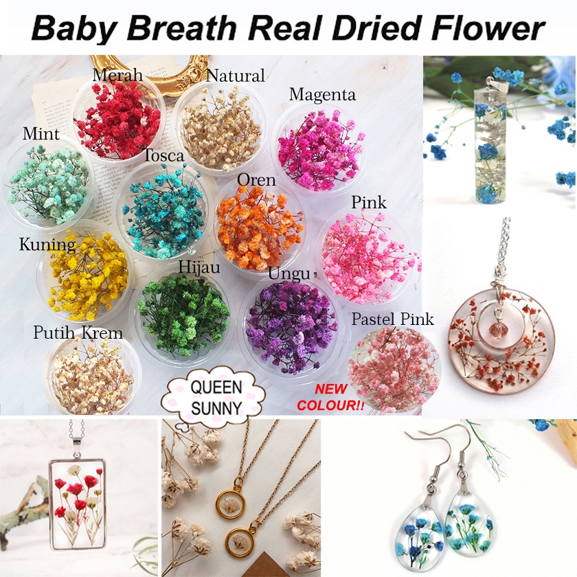 Jual Real Dry Flower Bunga Kering Baby Breath Nail Art Mini Dried