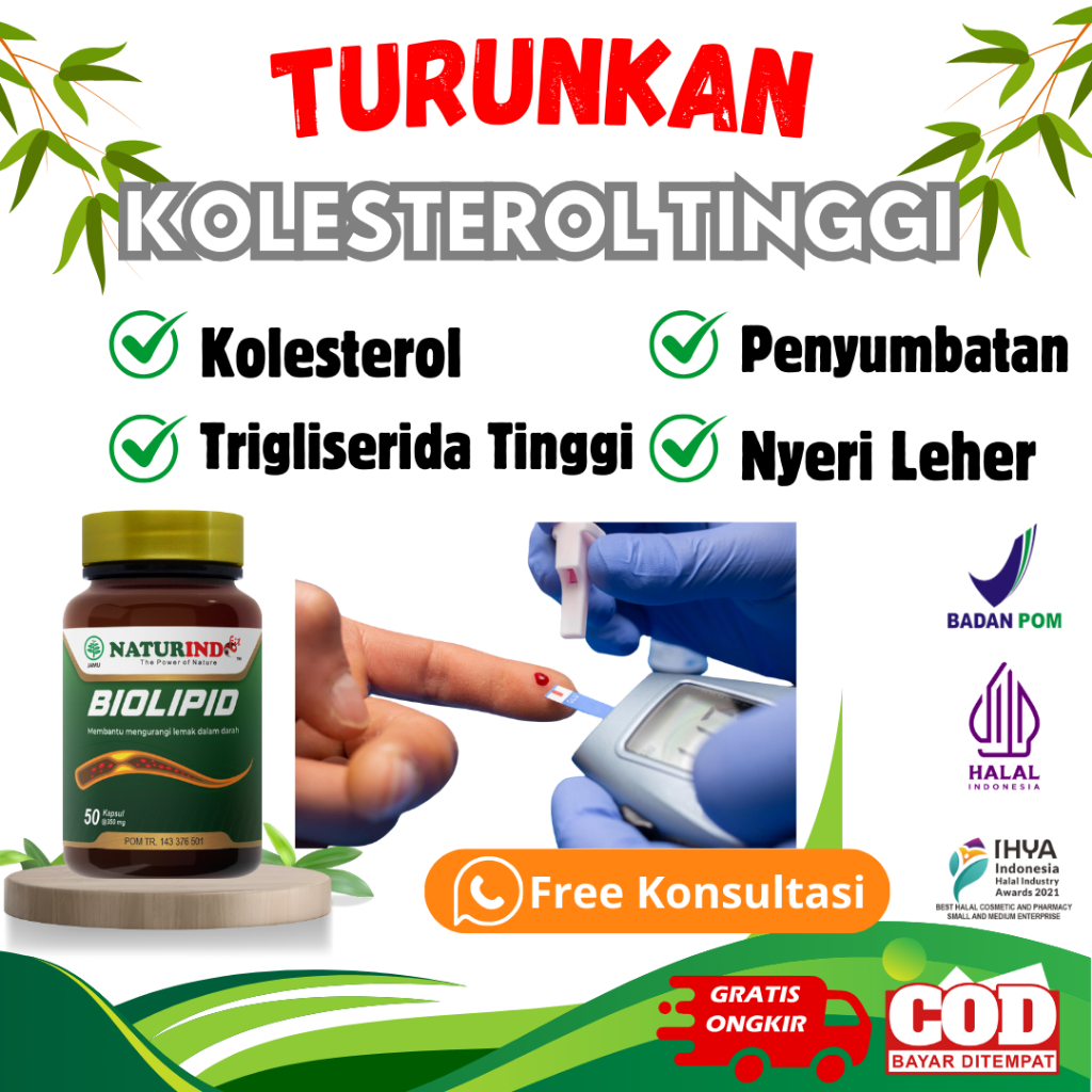 Jual Obat Penurun Kolesterol Penghancur Batu Empedu Lemak Darah Stroke