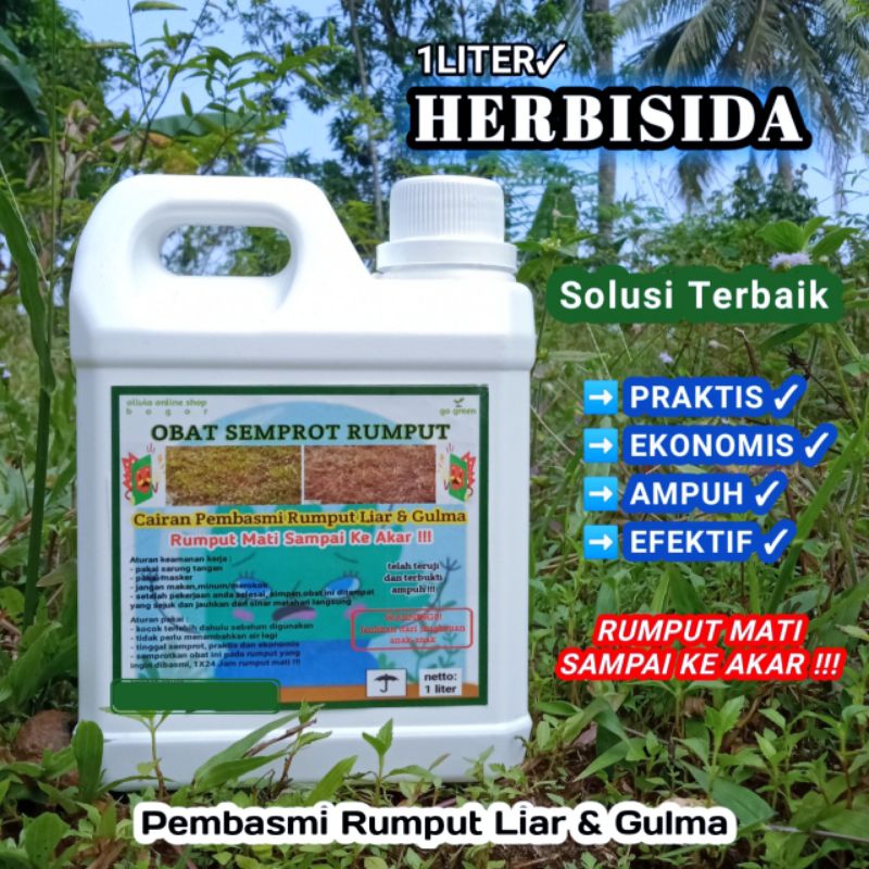 Jual Cairan Pembasmi Rumput Liar Gulma Herbisida Rumput Mati Sampai