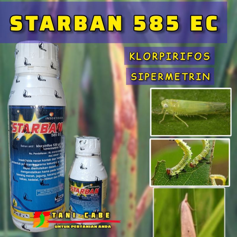 Jual Insektisida Starban Ec Ml Shopee Indonesia