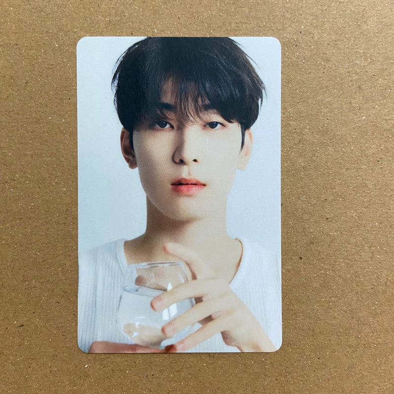 Jual Ready Stock Official Wonwoo Dear Right Here Seventeen Photocard