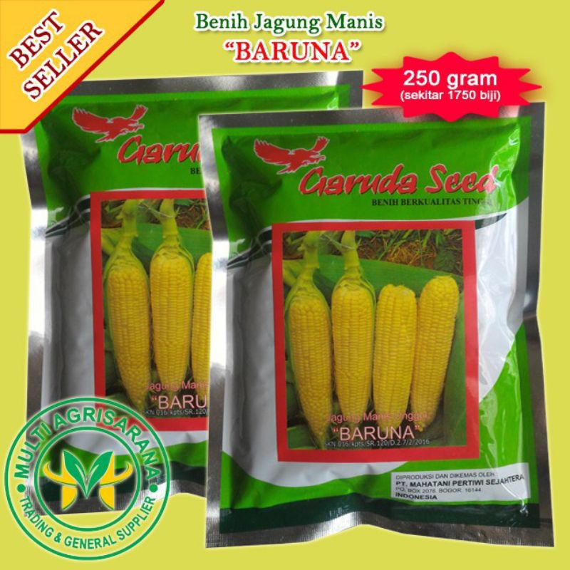 Jual Benih Jagung Manis BARUNA 250 Gr Bibit Jagung Manis BARUNA Isi 250