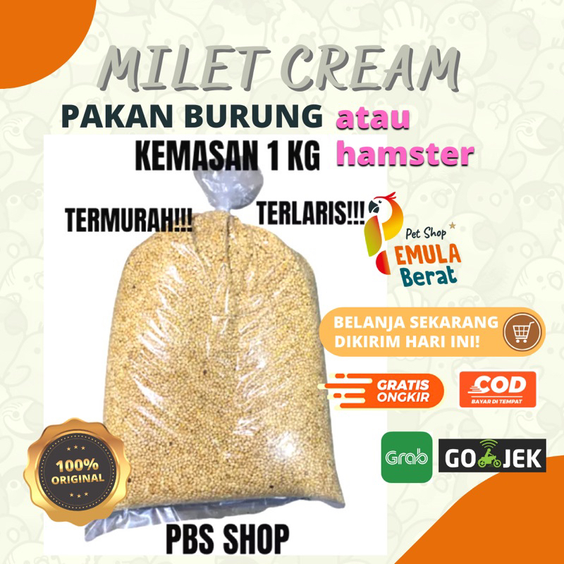 Jual Pakan Burung Milet Cream Kuning Kg Pilihan Grade A Milet Crem