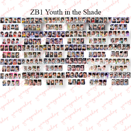 Jual Po Set Zb Youth In The Shade Photocard Fan Made Unofficial