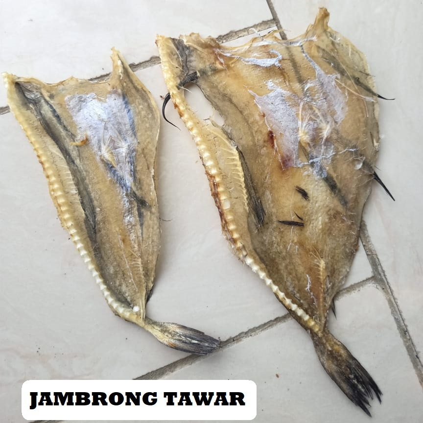 Jual Ikan Asin Jambrong Tawar Ikan Tipis Tarakan Sitting Belah Ikan