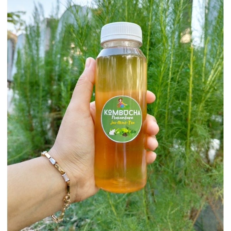 Jual Kombucha Tea Original Jasmine Mint Tea Minuman Fermentasi