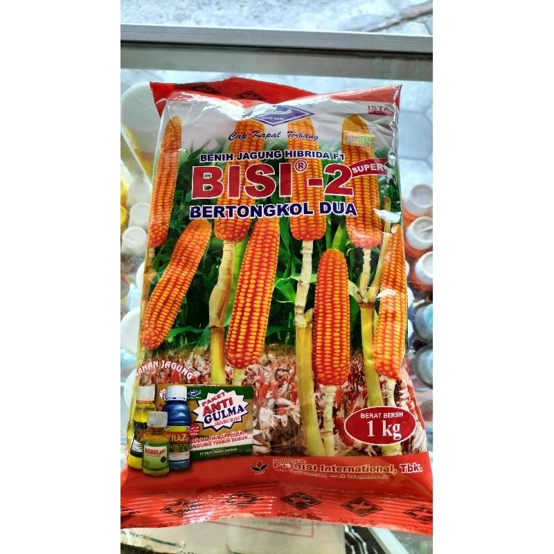 Jual Bisi 2 Benih Jagung Bisi 2 Kemasan 1Kg Bibit Jagung Hibrida Bisi 2