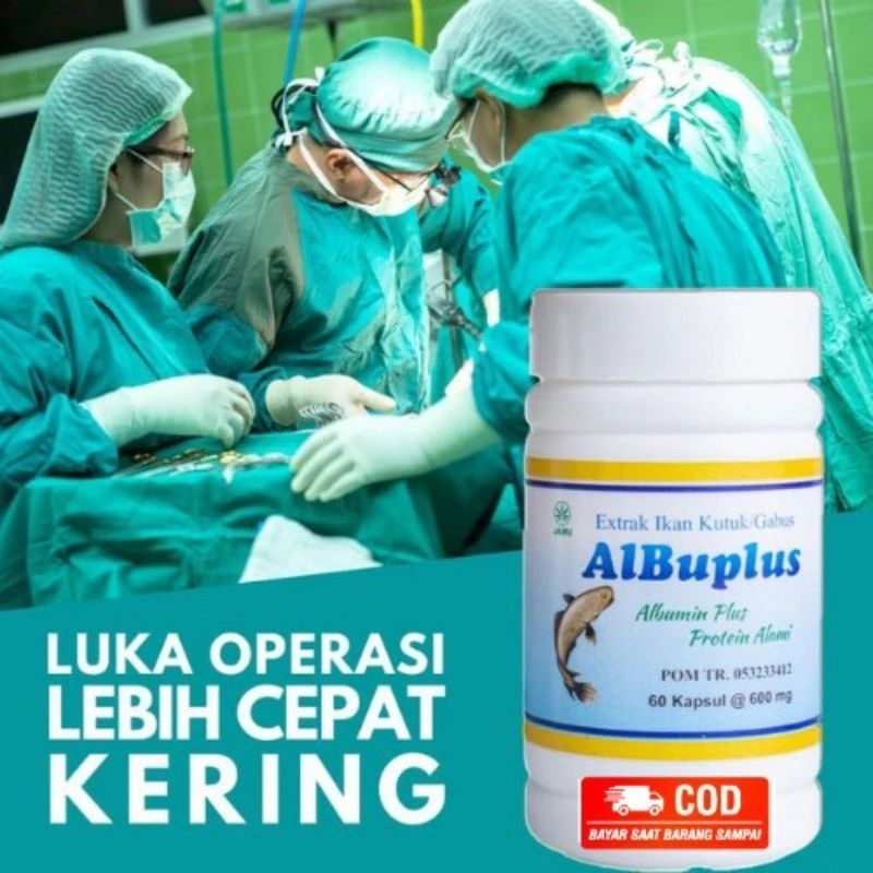 Jual ALBUPLUS EXTRAK IKAN GABUS POM TR Isi 60 Kapsul Shopee Indonesia