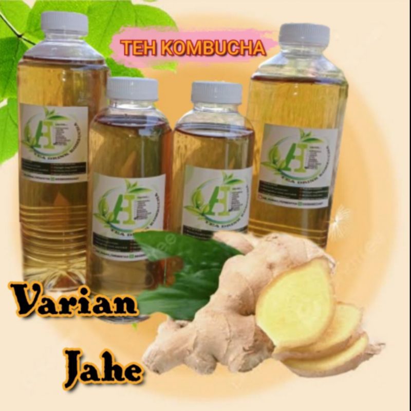 Jual Teh Jahe Herbal Kombucha Minuman Fermentasi Shopee Indonesia