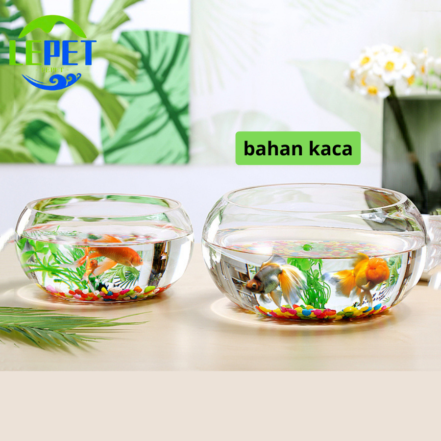 Jual Lepet Aquarium Mini Kecil A A Akuarium Ikan Cupang Hias