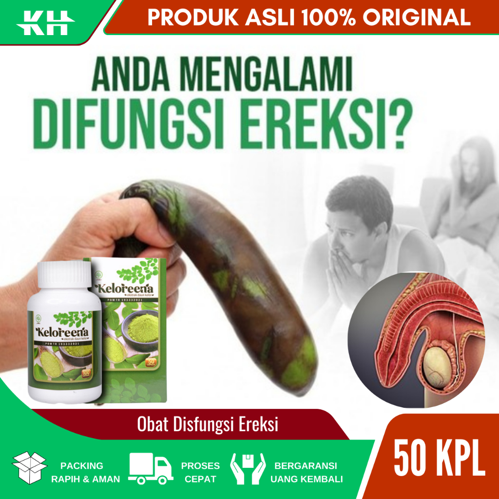 Jual Obat Disfungsi Ereksi Obat Lemah Syahwat Obat Mr P Loyo Obat