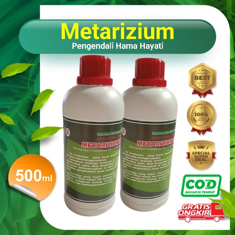 Jual Metarhizium Metarizium Anisopliae Harinjing Metarhizium