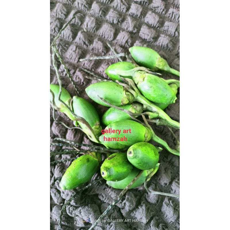 Jual Buah Pinang Muda Jambe Asli 1 Kg Shopee Indonesia