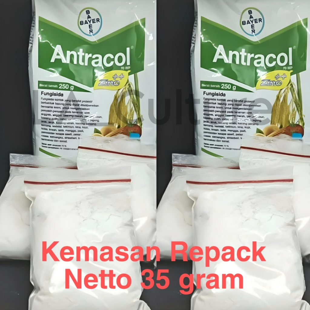 Jual Fungisida Antracol Wp Zinc Gram Repack Obat Jamur Tanaman