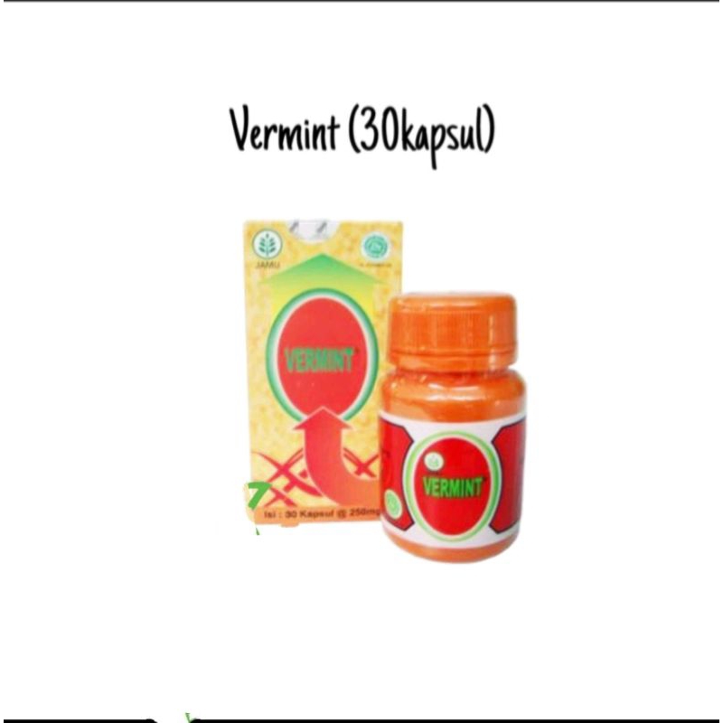 Jual Vermint Kapsul Kapsul Ekstrak Cacing Obat Demam Dan