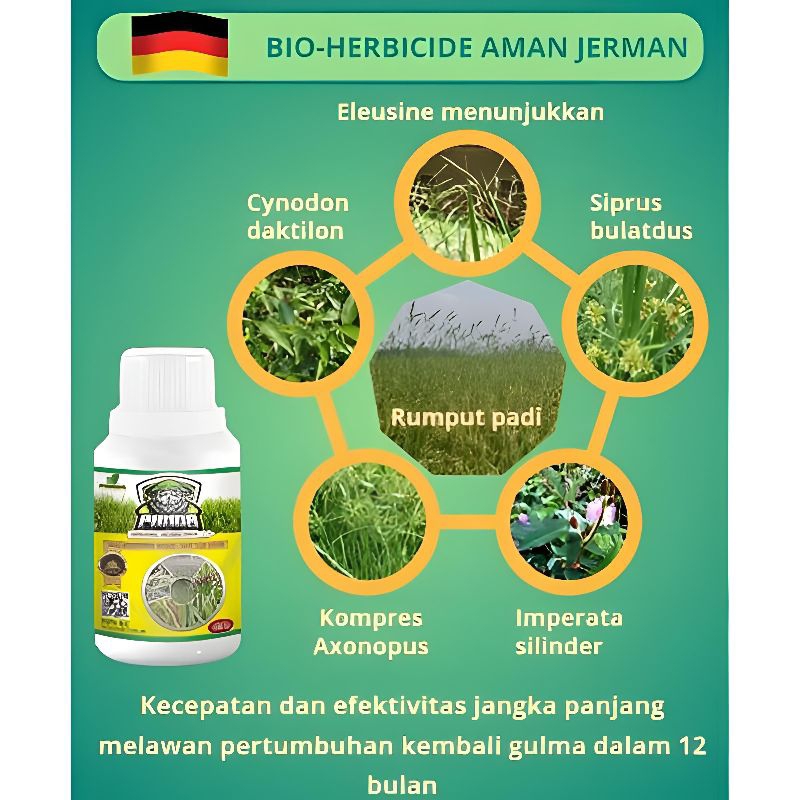 Jual Kill Grass Herbisida Panda Raja Pembasmi Gulma Dan Rumput Liar