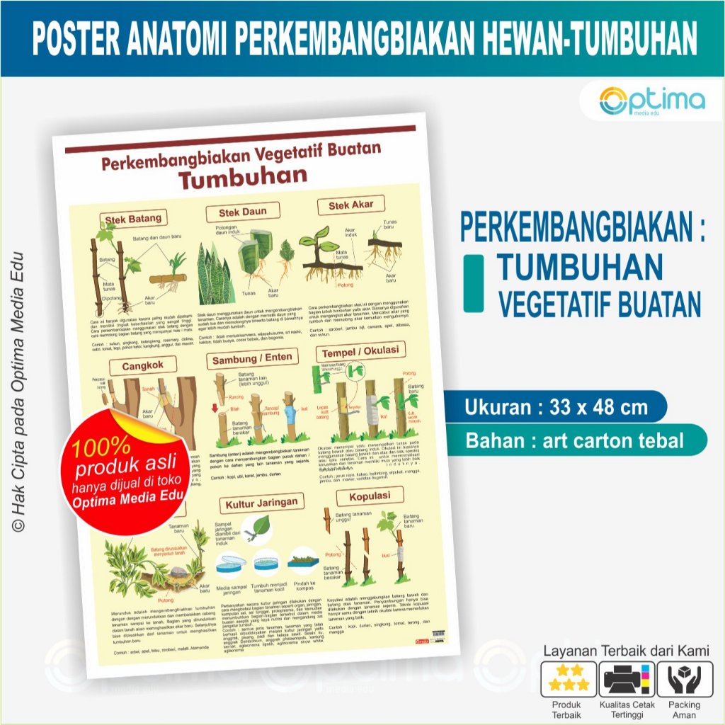 Jual Poster Carta Anatomi Struktur Proses Jenis Perkembangbiakan Hewan