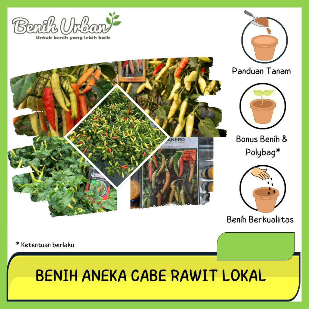 Jual Aneka Benih Cabe Rawit Kaliber ORI 212 Shypoon Cabai Master