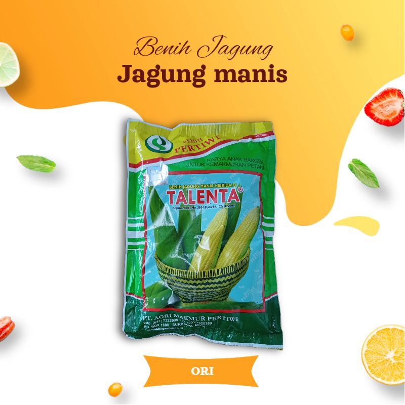 Jual Benih Jagung Manis Talenta Pertiwi 1750 Biji Shopee Indonesia