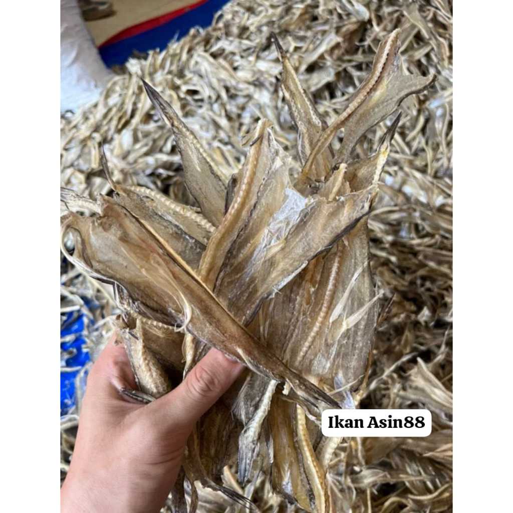 Jual Ikan Asin Tipis Jambrong Tipis Tarakan Lomek 50gr Perbungkus