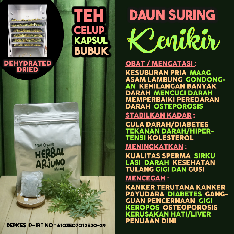 Jual Dehydrated Dried Teh Celup Kapsul Bubuk Daun Kenikir Suring Obat