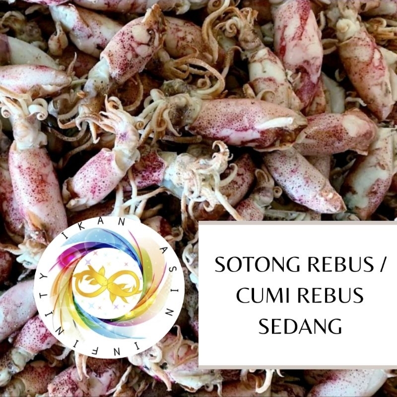 Jual Ikan Asin Cumi Rebus Sotong Rebus Sedang 250 Gram Shopee