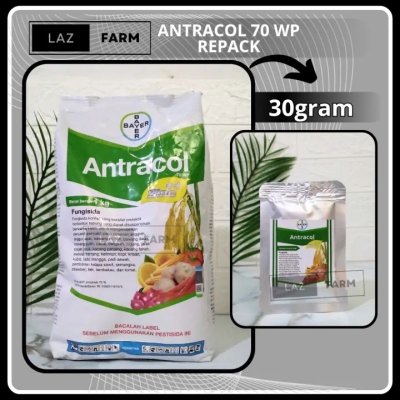 Jual Fungisida Antracol Wp Gram Kemasan Repack Shopee Indonesia