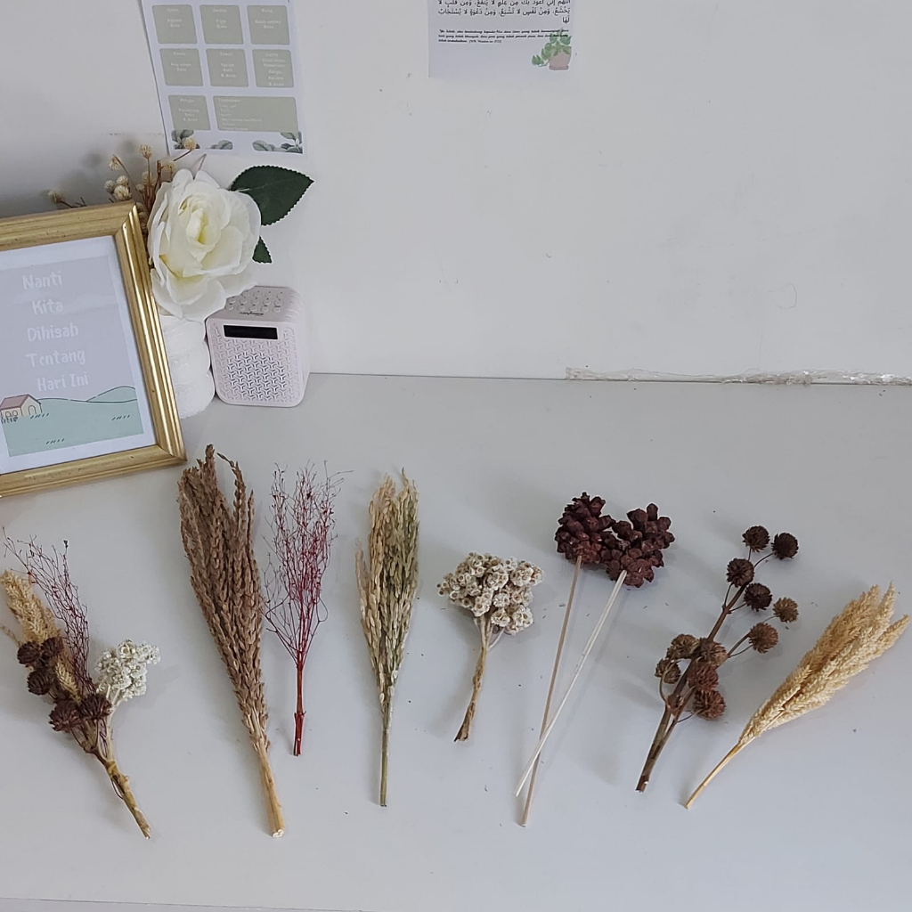 Jual Bunga Kering Murah Dried Flower Set Shopee Indonesia