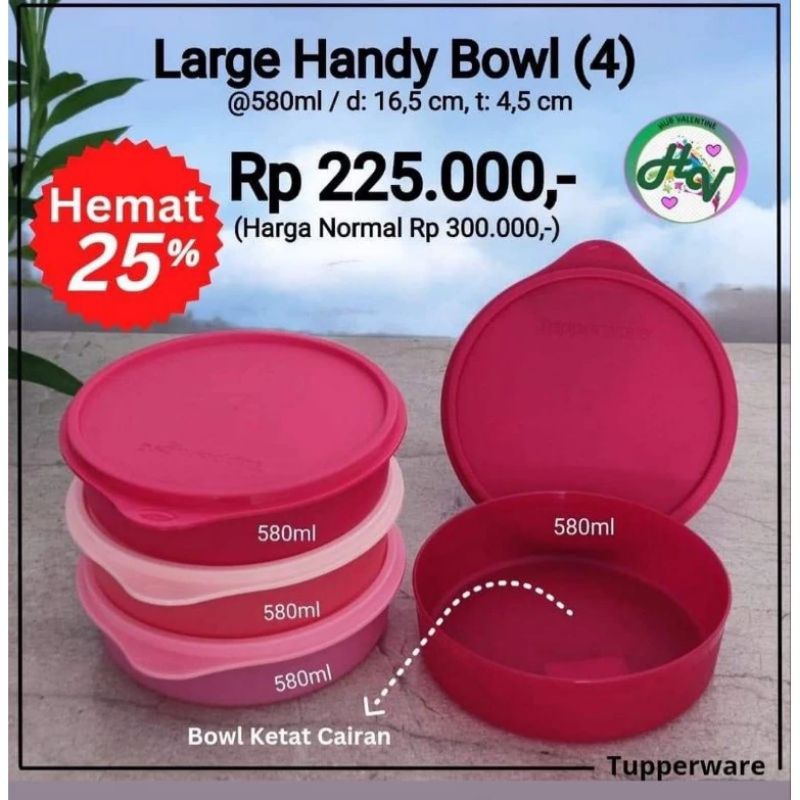 Jual Large Handy Bowl 580ml Tupperware 1pc Shopee Indonesia