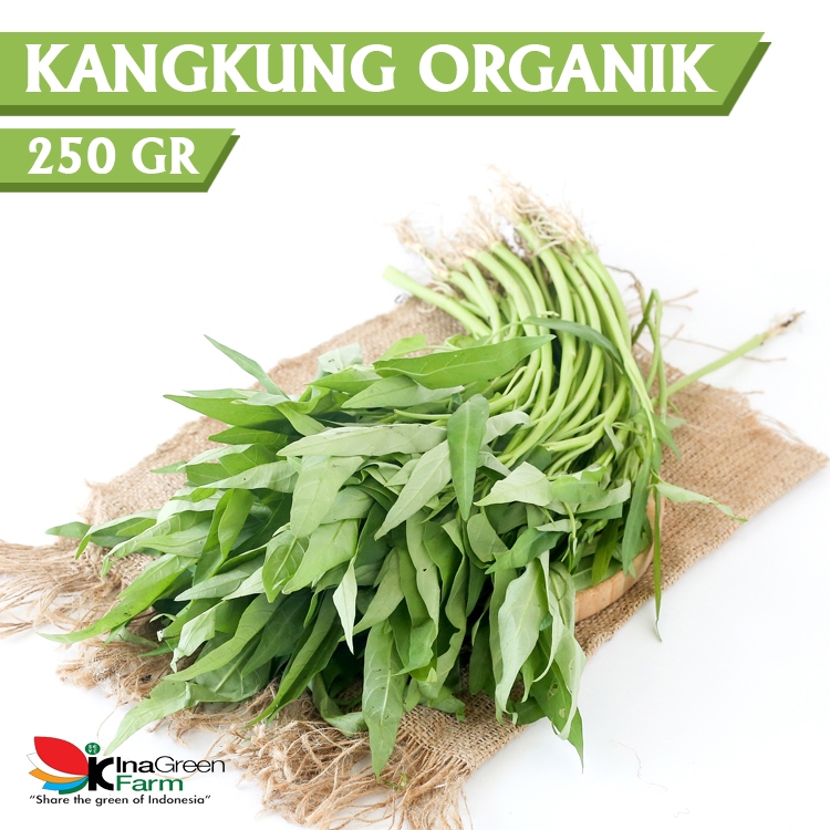 Jual Inagreen Farm Bandung Sayur Kangkung Darat Organik 250 Gram