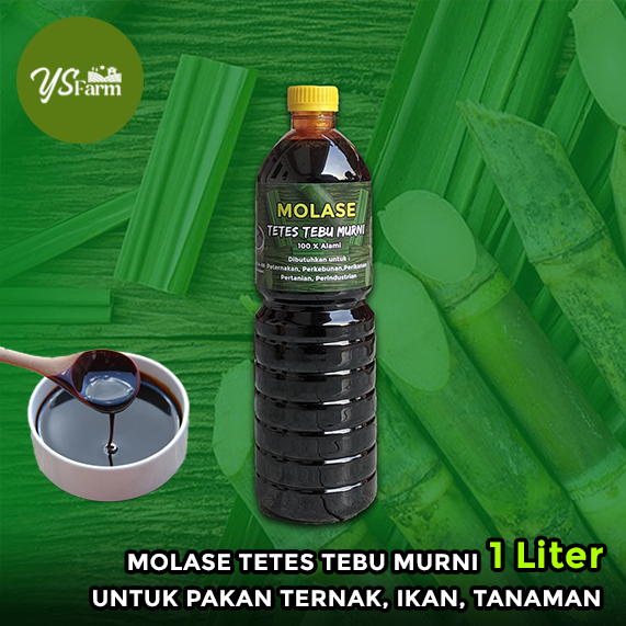 Jual Molase Tetes Tebu Gula Murni Untuk Pakan Ternak Ikan Tanaman