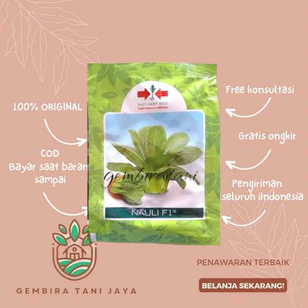 Jual Benih Sawi Sendok Pakcoy Nauli F1 10 Gram Cap Panah Merah Shopee