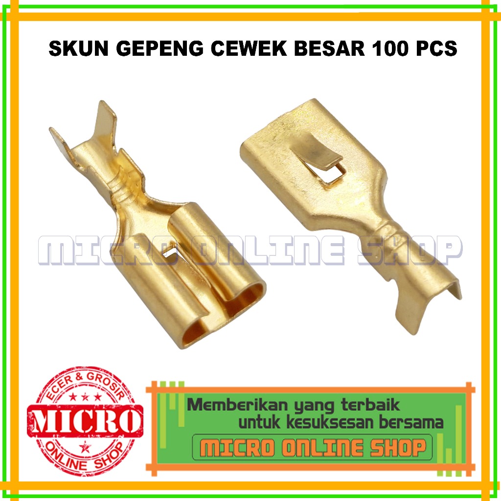 Jual Paket Pcs Skun Gepeng Cewek Besar Soket Motor Skun Female