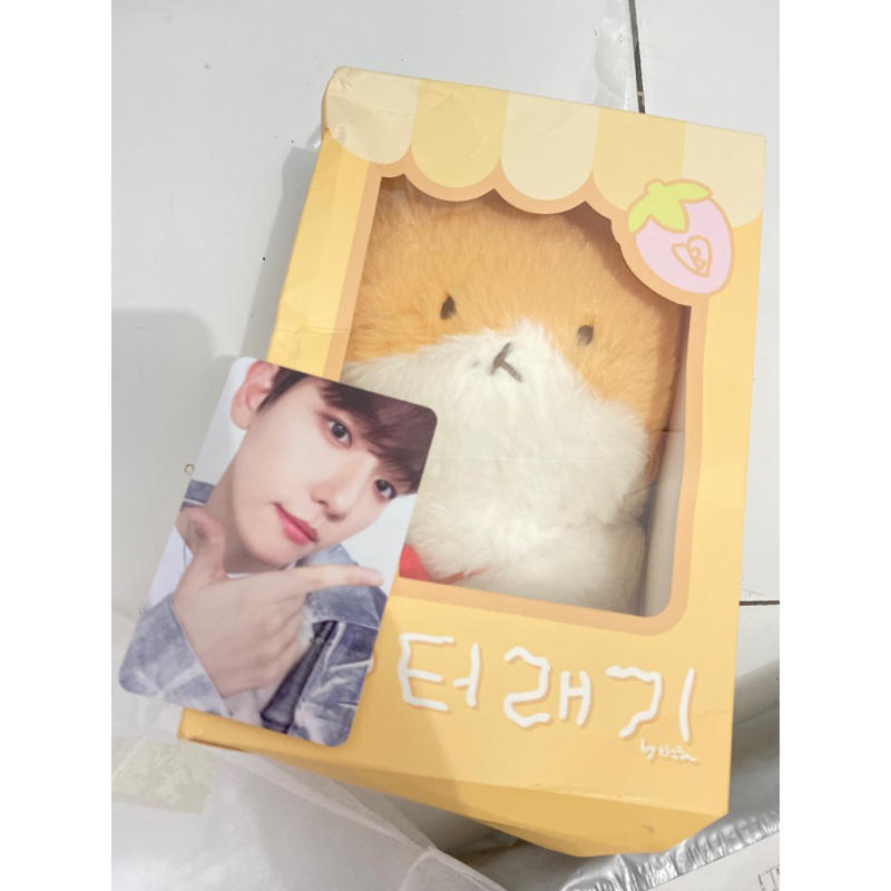 Jual Teolaegi Ar Voice Set 20cm Set Photocard Baekhyun Shopee Indonesia