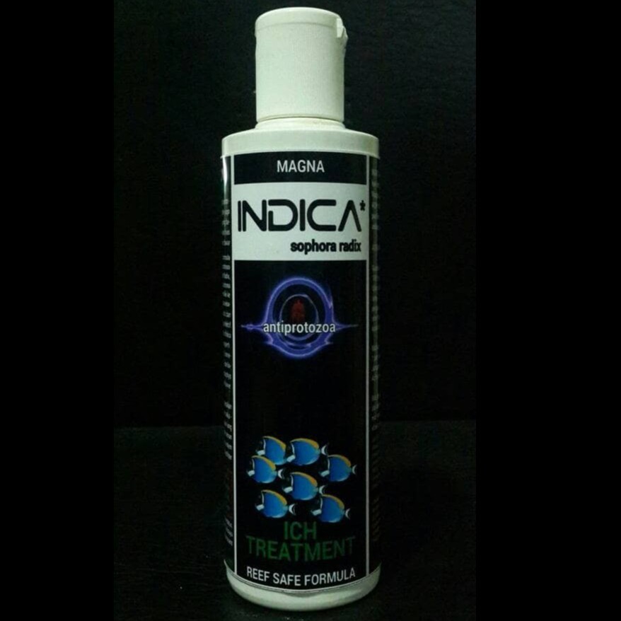 Jual Magna Indica Anti White Spot Ich Treatment Reef Safe Formula Obat