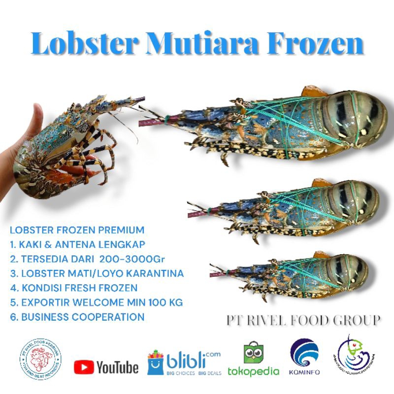 Jual Lobster Mutiara Fresh Frozen Kg Up Shopee Indonesia