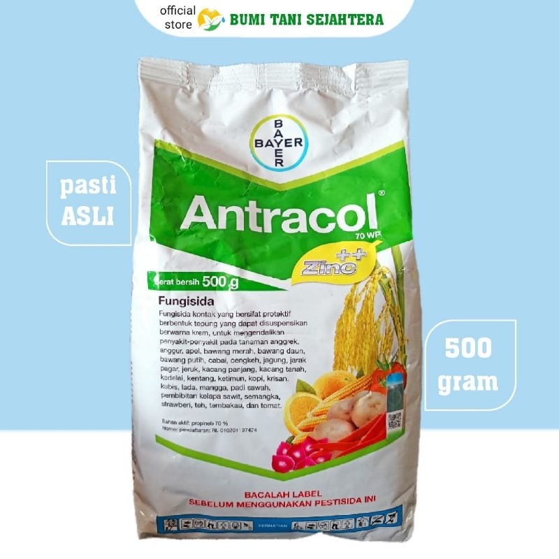 Jual FUNGISIDA ANTRACOL 70 WP 500 Gr Shopee Indonesia