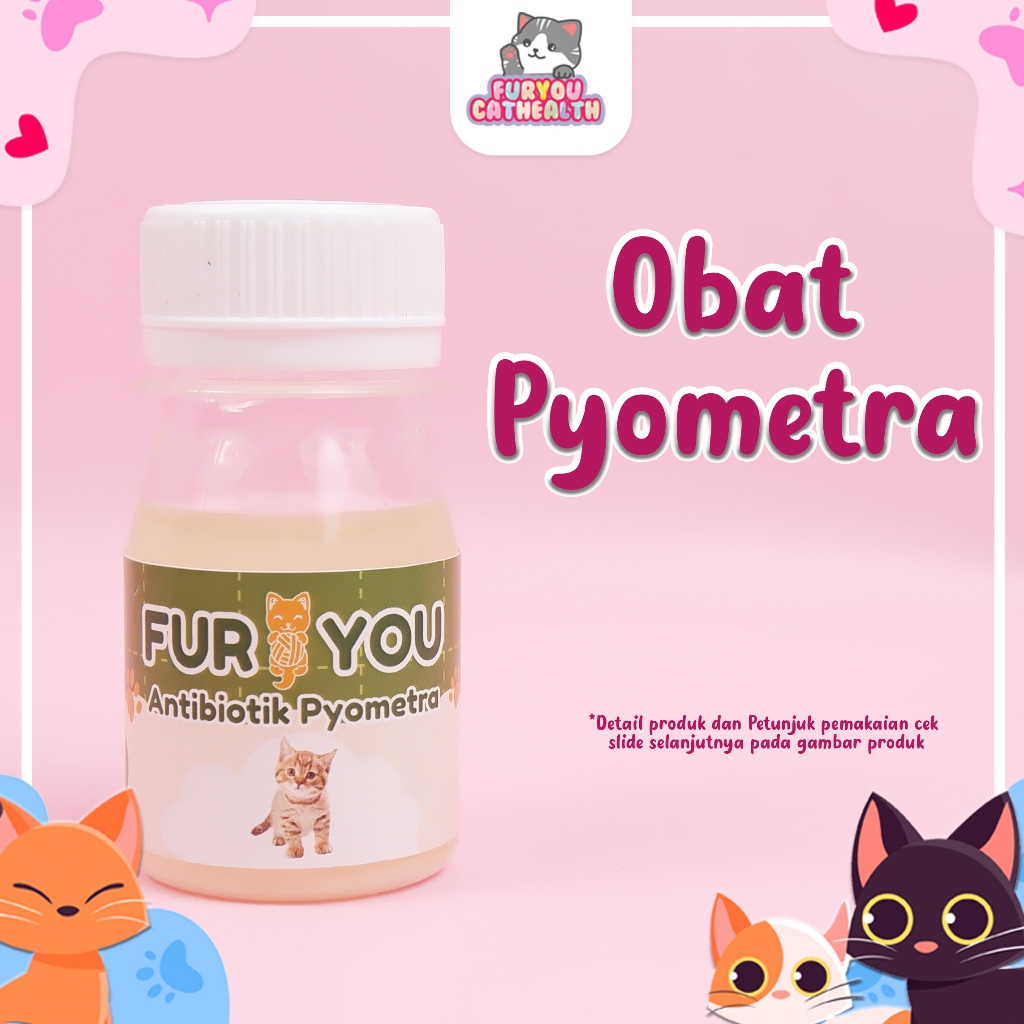 Jual Furyou Sirup Pyometra Reproduksi Anabul Kucing Betina Bernanah