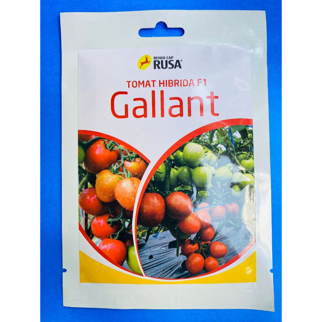 Jual Benih Tomat Hibrida F1 GALLANT Isi 5 Grm Dr Cap Rusa Shopee