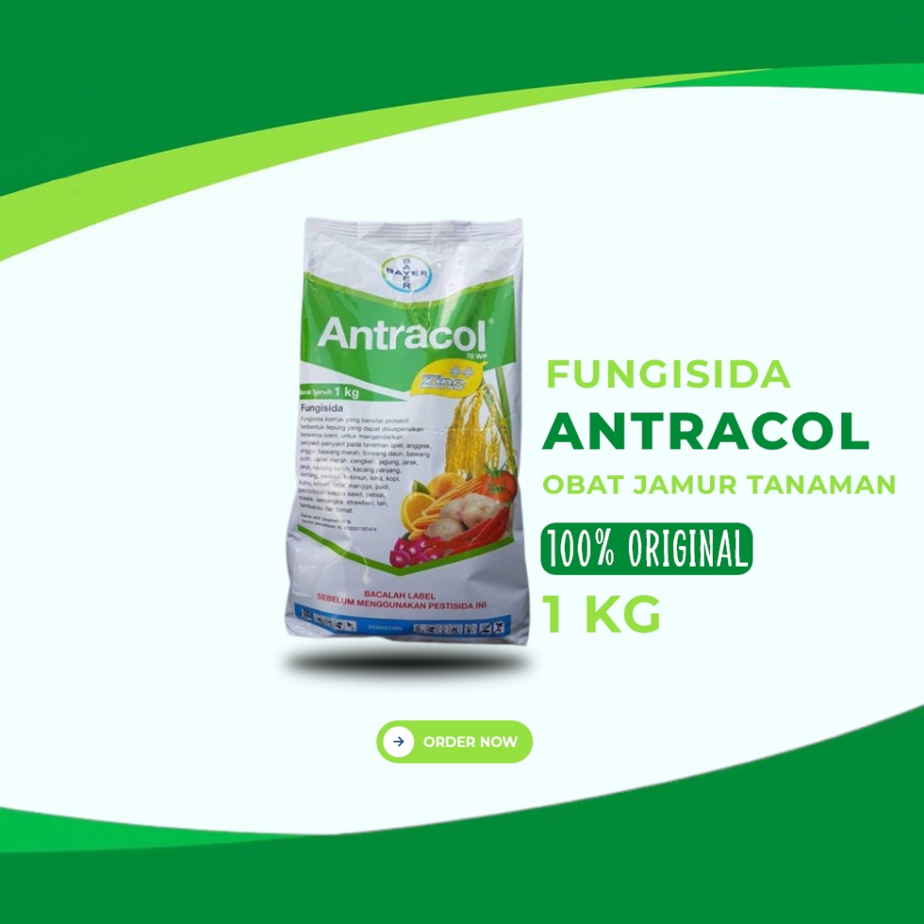 Jual Antracol Fungisida Obat Jamur Tanaman Shopee Indonesia