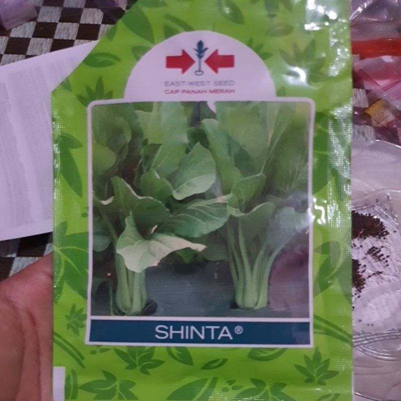 Jual Benih Bibit Sawi Caisim Repack Biji Shopee Indonesia