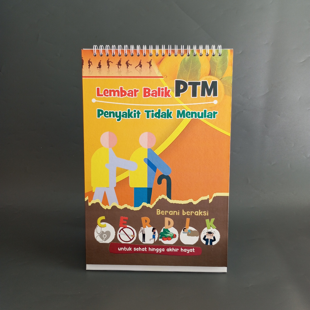 Jual Buku Lembar Balik Penyakit Tidak Menular Lembar Balik PTM Lembar