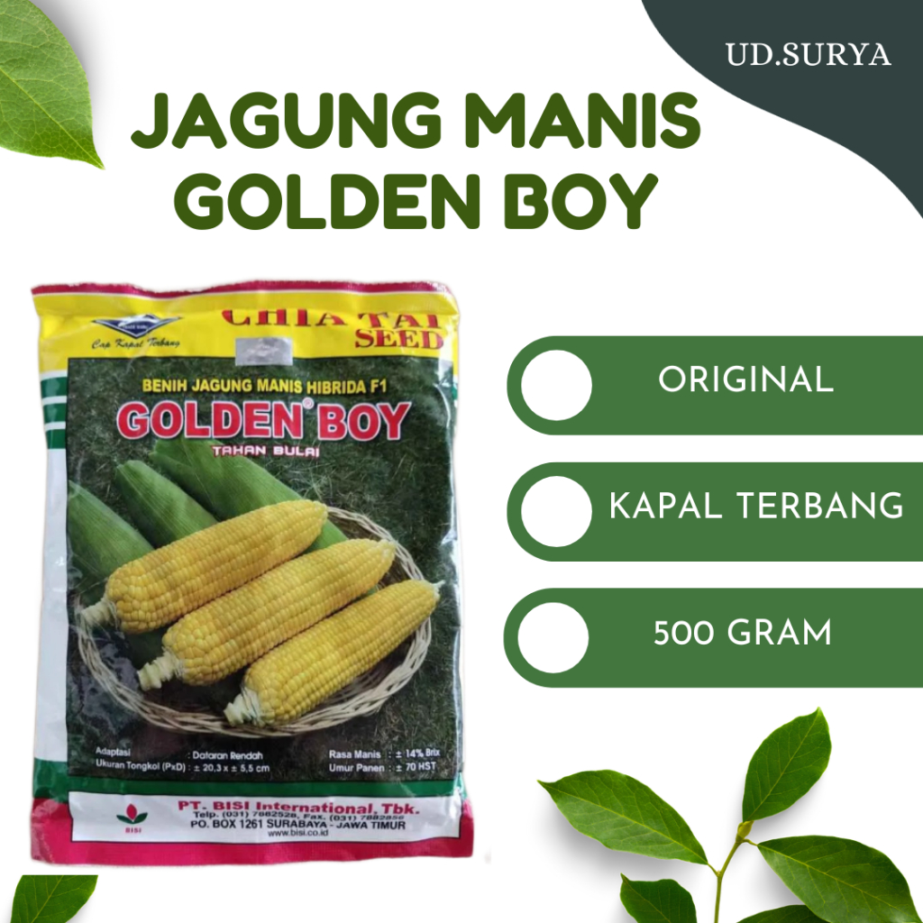 Jual BENIH JAGUNG MANIS GOLDEN BOY 500 GRAM PRODUK BISI CAP KAPAL