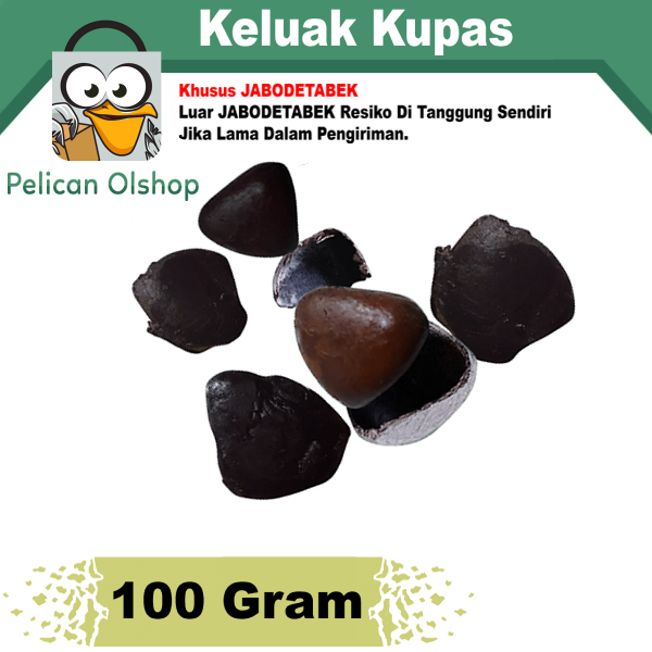 Jual Kluwak Kluwek KHUSUS JABODETABEK Kepayang Keluak Keluek Pucung