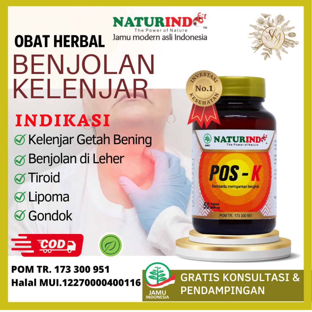 Jual Obat Benjolan Leher Kelenjar Getah Bening Lipoma Tiroid Gondok