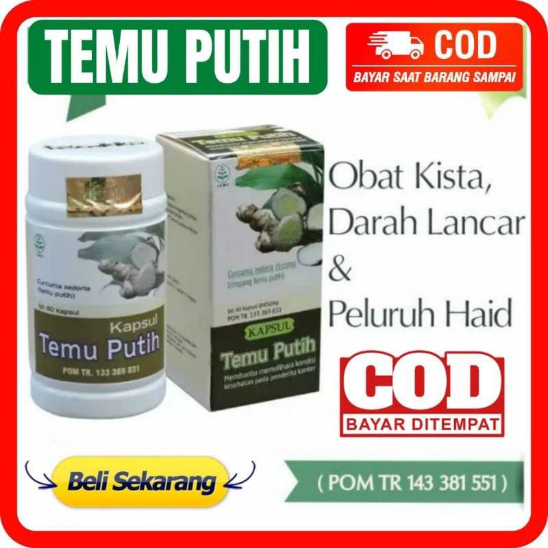 Jual Kapsul Temu Putih Tazakka Isi Obat Kista Miom Tumor Kanker