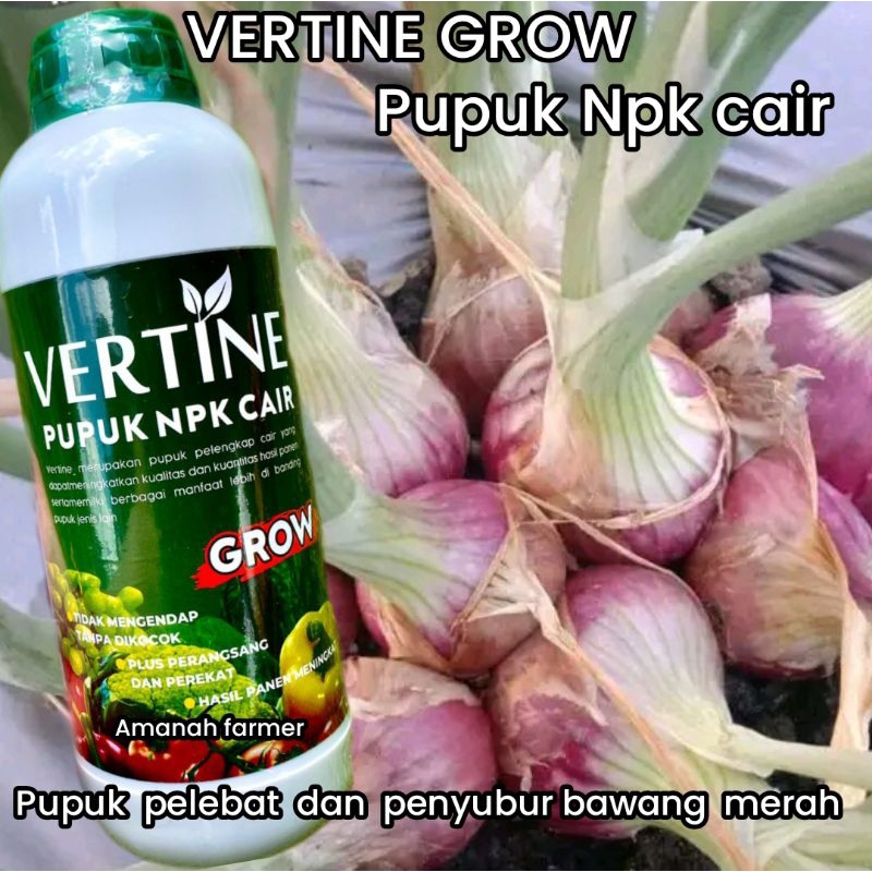 Jual Vertine Grow Pupuk Penyubur Dan Pelebat Bawang Merah Ga Isi