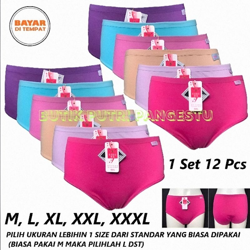 Jual 12pcs CD Celana Wanita Dewasa Celana Dalam Perempuan Lusinan