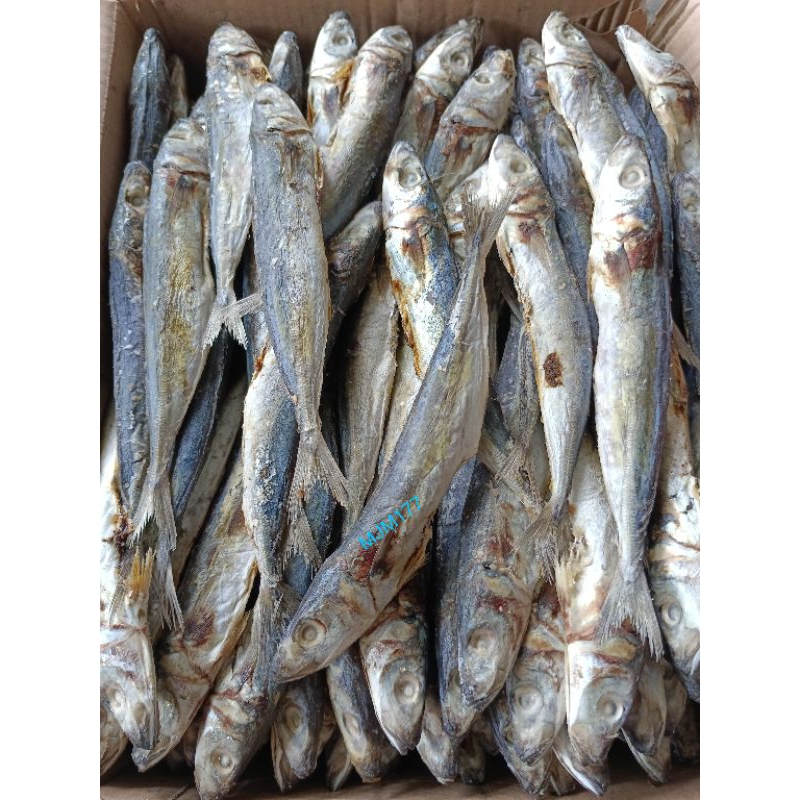 Jual Ikan Layang Klotok Kering Frees Setiap Hari Kg Shopee Indonesia