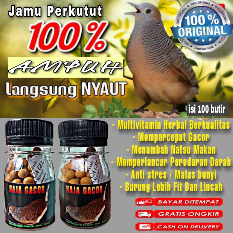 Jual Promo Original Jamu Perkutut Raja Gacor Isi Butir